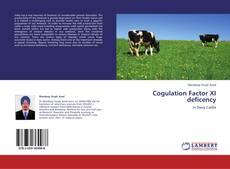 Buchcover von Cogulation Factor XI deficency