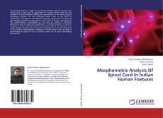 Morphometric Analysis Of Spinal Cord In Indian Human Foetuses的封面