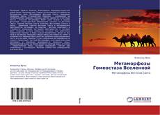 Copertina di Метаморфозы Гомеостаза Вселенной