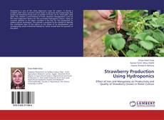 Обложка Strawberry Production Using Hydroponics