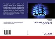 Buchcover von Preparation of hybrid by sol-gel method