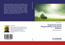 Capa do livro de Corporate Social Responsibility and Social Welfare 
