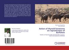Buchcover von Action of thyroid hormones on reproduction of Buffaloes