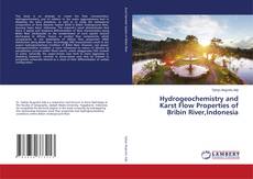 Portada del libro de Hydrogeochemistry and Karst Flow Properties of Bribin River,Indonesia