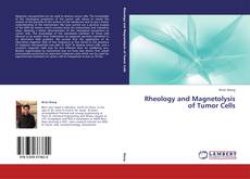 Buchcover von Rheology and Magnetolysis of Tumor Cells