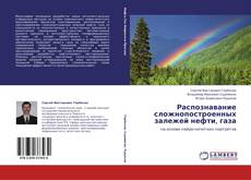 Распознавание сложнопостроенных залежей нефти, газа kitap kapağı