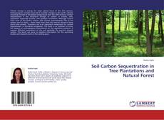 Buchcover von Soil Carbon Sequestration in Tree Plantations and Natural Forest