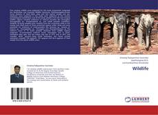 Copertina di Wildlife