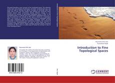 Introduction to Fine Topological Spaces kitap kapağı
