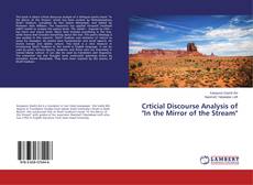 Buchcover von Crticial Discourse Analysis of "In the Mirror of the Stream"