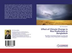Buchcover von Effect of Climate Change in Rice Production in Bangladesh