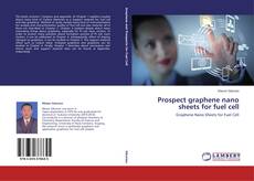 Buchcover von Prospect graphene nano sheets for fuel cell