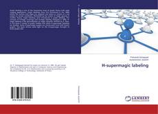 Buchcover von H-supermagic labeling