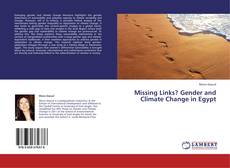 Copertina di Missing Links? Gender and Climate Change in Egypt