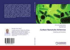 Carbon Nanotube Antennas kitap kapağı