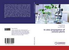 Buchcover von In vitro propagation of cassava plants