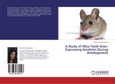Buchcover von A Study of Mice Teeth Over-Expressing Amelotin During Amelogenesis
