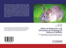 Portada del libro de Effect of Metformin and Cinnamon on Histology of Kidney of Rabbits