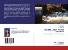 Copertina di Polluted Groundwater Utilization