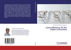 Couverture de Costs Efficiency Of The Public Universities