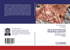 Copertina di Pore Scale Network Modeling approach
