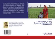 Buchcover von Self-Esteem of FGL: Exploring the Influential Determinants