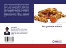 Capa do livro de Fertigation in Turmeric 
