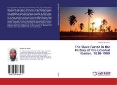 Copertina di The Slave Factor in the History of Pre-Colonial Ibadan, 1830-1900