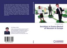 Couverture de Socialism in France Revival of Marxism in Europe