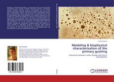 Couverture de Modeling & biophysical characterisation of the primary gushing