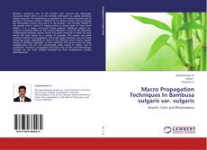 Buchcover von Macro Propagation Techniques In Bambusa vulgaris var. vulgaris