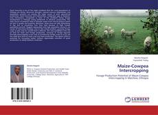 Couverture de Maize-Cowpea Intercropping