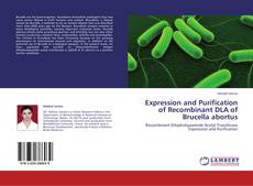 Buchcover von Expression and Purification of Recombinant DLA of Brucella abortus