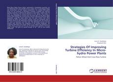 Buchcover von Strategies Of Improving Turbine Efficiency In Micro-hydro Power Plants