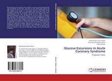 Glucose Excursions in Acute Coronary Syndrome kitap kapağı
