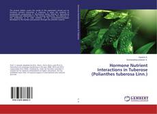Buchcover von Hormone Nutrient Interactions in Tuberose (Polianthes tuberosa Linn.)