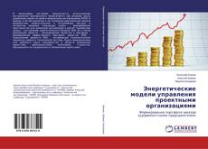 Энергетические модели управления проектными организациями kitap kapağı