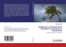 Copertina di Mitigation and Adaptation Strategies of Cyclones in Bangladesh
