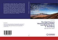 The High-Pressure Metamorphosed Pelitic and Mafic Rocks in E. Shandong kitap kapağı