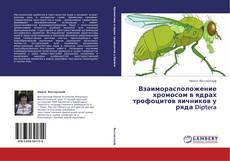 Capa do livro de Взаиморасположение хромосом в ядрах трофоцитов яичников у ряда Diptera 