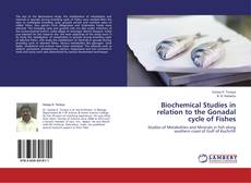 Copertina di Biochemical Studies in relation to the Gonadal cycle of Fishes