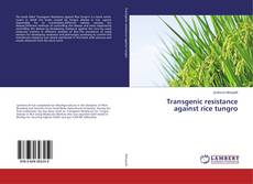 Buchcover von Transgenic resistance against rice tungro
