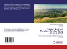 Capa do livro de Effect of Seed and Phosphate Fertilizer Rates on Yield of Tef 