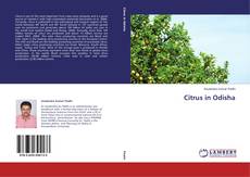 Buchcover von Citrus in Odisha