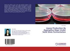 Lipase Production By Aspergillus Niger Under Solid State Fermentation的封面
