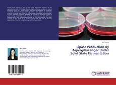 Copertina di Lipase Production By Aspergillus Niger Under Solid State Fermentation