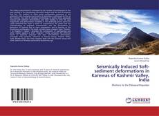 Copertina di Seismically Induced Soft-sediment deformations in Karewas of Kashmir Valley, India