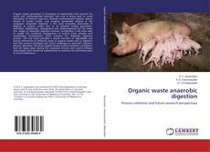 Copertina di Organic waste anaerobic digestion