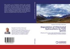 Couverture de Degradation of Chlorinated Hydrocarbons by Fe(II) species