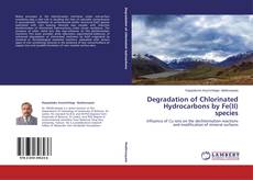 Buchcover von Degradation of Chlorinated Hydrocarbons by Fe(II) species